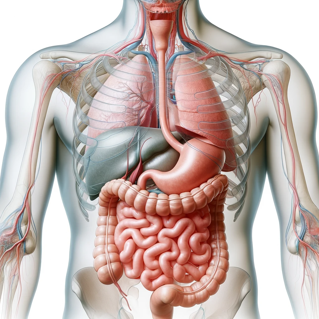 Productos de cuidado personal