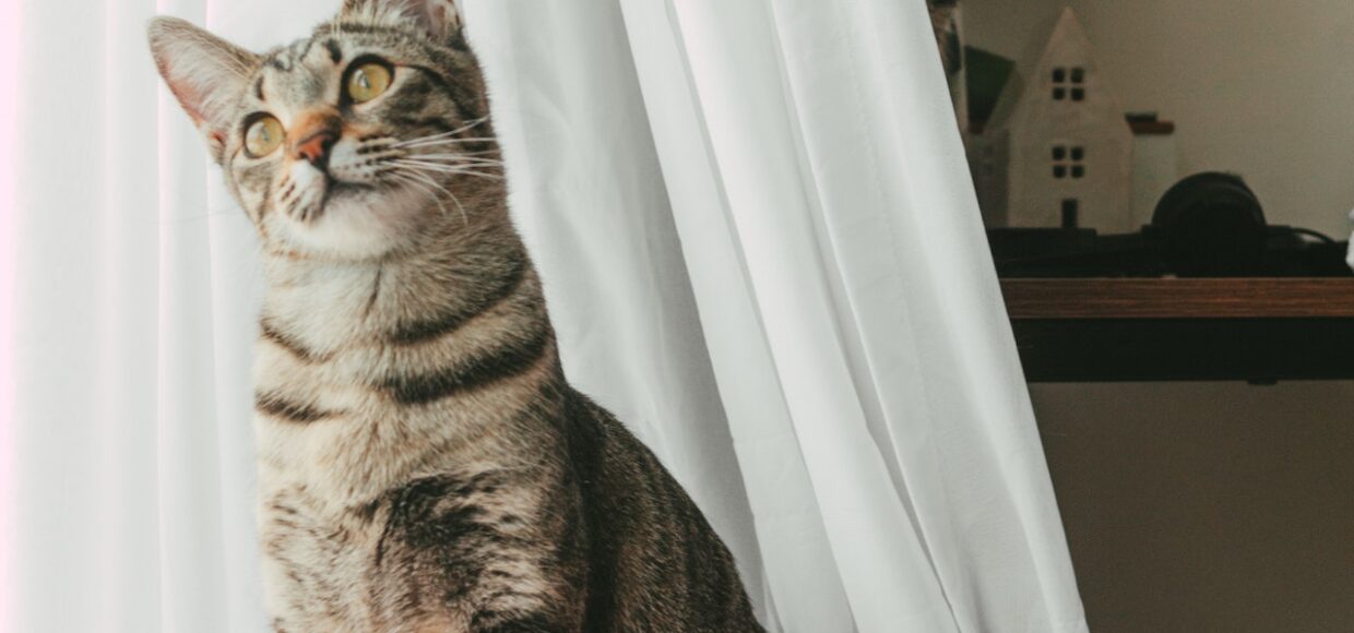 Productos de cuidado personal